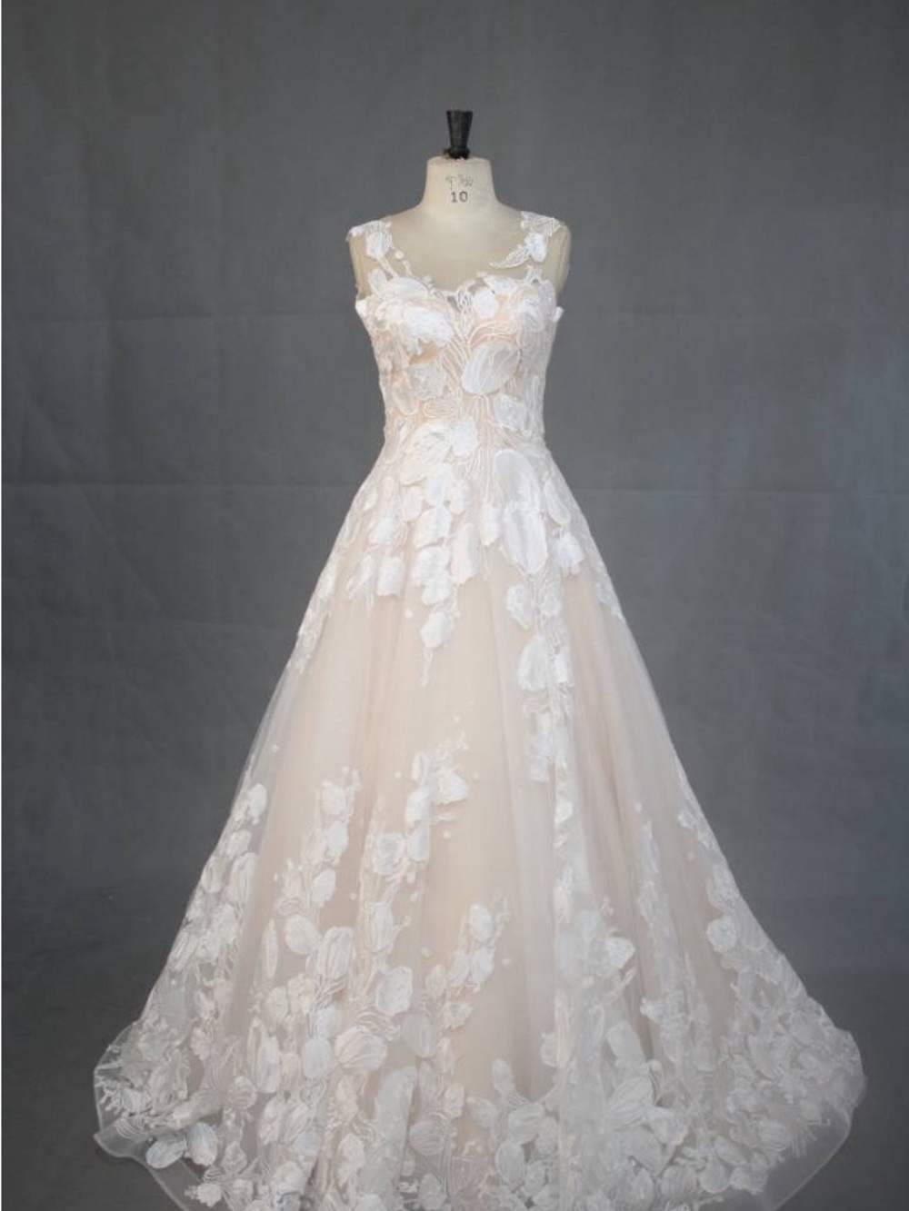 Creamy fleshtone bodice & skirt Ivory Floral Appliqué Ball Gown Wedding Dress